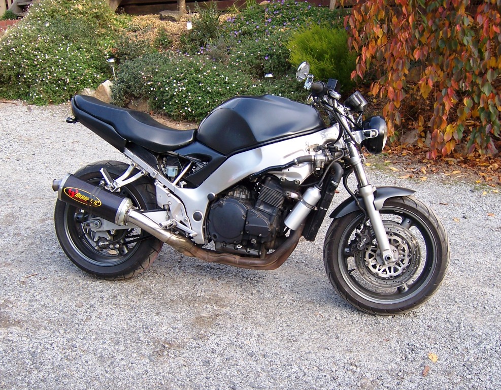 Pics of the RF post em if you got em - Sportbikes.net
