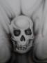 Harry's Avatar