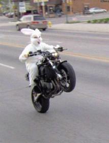 Click image for larger version.&nbsp;

Name:	Funny_Pictures_24518.jpg&nbsp;
Views:	17&nbsp;
Size:	8.9 KB&nbsp;
ID:	1070