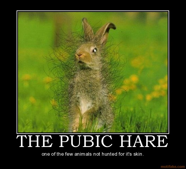 Click image for larger version.&nbsp;

Name:	the-pubic-hare-september-challenge-oh-hair-sorry-about-that-demotivational-poster-1252069952.jpg&nbsp;
Views:	28&nbsp;
Size:	72.9 KB&nbsp;
ID:	1079