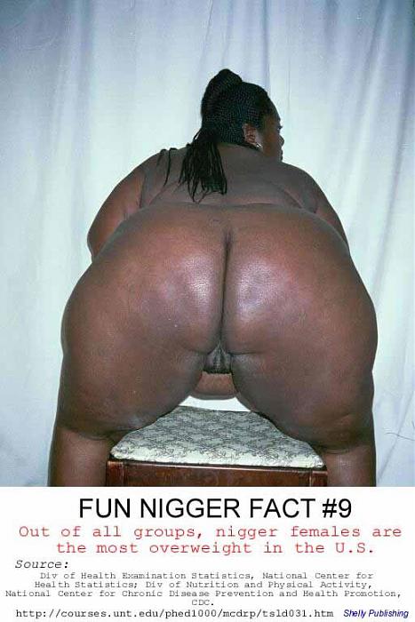 Click image for larger version. 

Name:	1252795751.jpg 
Views:	31 
Size:	51.7 KB 
ID:	1418
