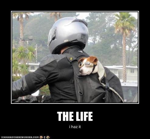 Click image for larger version. 

Name:	533243_10150999850480443_1951506268_n.jpg 
Views:	71 
Size:	27.0 KB 
ID:	2457