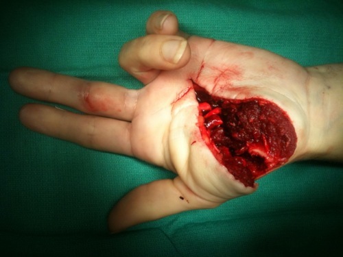 Click image for larger version. 

Name:	tumblr_lg41j7Sr3L1qenh0mo1_500.jpg 
Views:	56 
Size:	45.6 KB 
ID:	2721