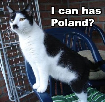 Click image for larger version. 

Name:	hitler-cat.jpg 
Views:	52 
Size:	43.9 KB 
ID:	3119