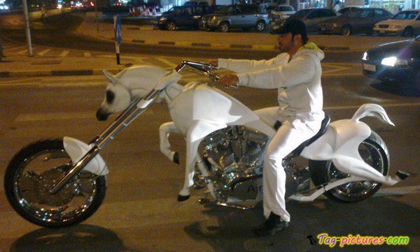 Click image for larger version. 

Name:	funny-hosre-bike-photo.jpg 
Views:	35 
Size:	67.9 KB 
ID:	3218