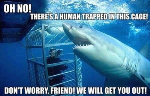 Click image for larger version. 

Name:	funny-captions-14.jpg 
Views:	81 
Size:	36.6 KB 
ID:	4492