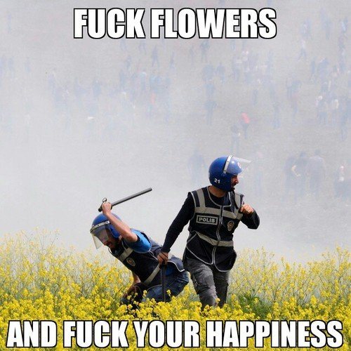 Click image for larger version. 

Name:	funny-captions-25.jpg 
Views:	78 
Size:	56.1 KB 
ID:	4493