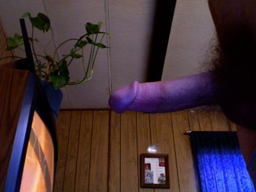 Click image for larger version. 

Name:	tumblr_ksgckuALoV1qz71aso1_500.jpg 
Views:	22 
Size:	23.7 KB 
ID:	451