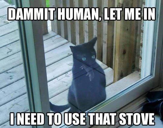 Click image for larger version. 

Name:	1200482.jpg 
Views:	4 
Size:	34.7 KB 
ID:	7213